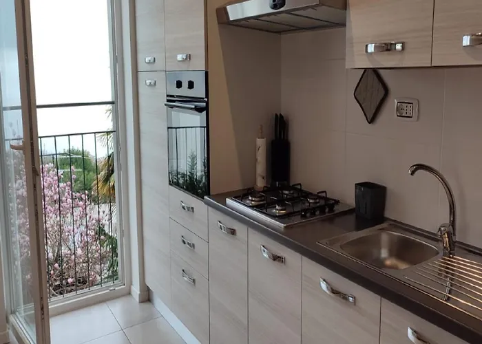 Baricevic * אופטיה